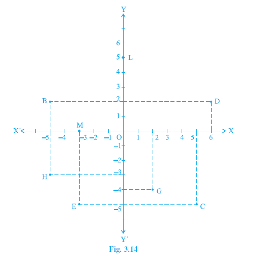 Page 61 Chapter 3 Class 9th Non-Rationalised NCERT 2019-20